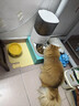 霍曼（Homerun）Real智能自动喂食器猫粮狗粮定时猫咪自动投食机（不锈钢碗） 实拍图