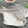 纯色本味 冷冻舟山口袋鲳 700g 银鲳鱼 白鲳 平鱼 地标产品 生鲜鱼类 实拍图