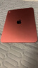 Apple/苹果 iPad11英寸 A16芯片2025年款 平板电脑 (256GB WLAN版/学习办公娱乐)粉色 实拍图