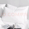 雅鹿纯棉枕头 枕套+枕芯一个男士酒店羽丝绒整头枕一对家用深度睡眠 波波熊【100%纯棉亲肤】 48x74cm【一只枕套+一只枕芯】 实拍图