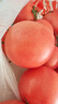 京鲜生 山东普罗旺斯西红柿 净重4.5斤 单果115g+ 沙瓤番茄 源头直发 实拍图