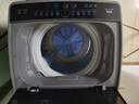 TCL 8公斤小型波轮洗衣机全自动家用 L2R大容量一级能效 家电国家补贴以旧换新 送装一体B80L2R 实拍图