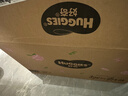 好奇（Huggies）铂金装小桃裤纸尿裤L120片(9-14kg)大号尿不湿【透爽散热】 实拍图
