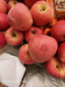 京鲜生 陕西洛川红富士苹果 净重10斤 单果200g 生鲜水果 实拍图