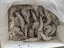 万景 国产大虾 盐冻北海白虾(大号) 80-100只净重4斤  家庭聚餐 海鲜 实拍图