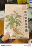 忆江南黄芪党参元气五宝茶养生茶红枣枸杞桂圆补气血泡水喝花茶150g 实拍图