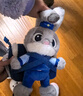 迪士尼（Disney）疯狂动物城朱迪斜挎包兔子玩偶包毛绒玩具娃娃女孩生日礼物女朋友 实拍图