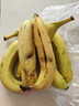 高山香蕉广西产地直发薄皮青果软糯香甜自然熟当季新鲜采摘纯天然 高山香蕉带箱2斤 实拍图
