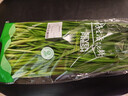 绿色韭菜250g 实拍图