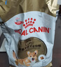 皇家狗粮 斗牛犬成犬狗粮 宠物中型犬 FBA26 全价犬粮 ≥12月 6.5KG 实拍图