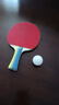 红双喜SH横直对拍01初学者训练比赛乒乓球拍横直套装+乒乓球 实拍图