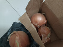 新鲜黄洋葱黄金水果洋葱即食蔬菜调料烧烤食材 新鲜黄洋葱 2斤 含箱 实拍图
