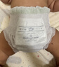 babycare金山茶花婴儿拉拉裤mini装XL码18片(12-17kg)尿不湿【新老混发】 实拍图