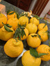 生活＆好管家 四川春见耙耙柑爆浆大果新鲜水果礼盒应季橘子现摘柑橘子桔子 8.5-9斤【性价比高-全家爽吃】净重8斤 果径80-85mm【中大果】 实拍图