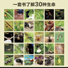 生命的故事 第1-3辑30册 3-6-8岁珍稀动物儿童科普绘本少儿昆虫百科全书动物世界 幼儿园图书获奖经典自然科学探索生命（果壳、无穷小亮、樊登推荐） 实拍图