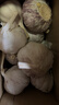 紫白皮蒜水果大蒜超市即食生鲜蔬菜大蒜 【优选】带箱 1斤 单果3.5-5cm 实拍图