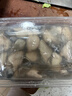 一虾一世界鲜活现剥去壳大号生蚝肉250g/盒 新鲜速冻牡蛎肉海蛎子火锅烧烤 3斤装【250g*6盒】固形物80% 实拍图