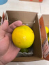 京鲜生 云南哀牢山冰糖橙/橙子 净重5斤 单果170-260g 生鲜水果礼盒 实拍图