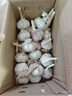 京鲜生山东金乡大蒜带皮新鲜干蒜净重2斤单果4.5cm起 源头直发包邮 实拍图