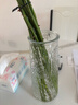 吕姆克花瓶玻璃花瓶摆件工艺品插花仿真干花富贵竹水养花瓶中号透明5043 实拍图