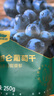 西域美农 黑加仑葡萄干250g 新疆特产大颗粒吐鲁番提子干孕妇零食烘焙原料 实拍图