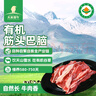 天莱香牛 新疆有机原切筋头巴脑净重500g 国产谷饲生鲜牛肉清真【真原切】 实拍图