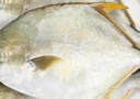 翔泰 海南深海金鲳鱼2.4斤/3-4条净重 BAP认证 生鲜鱼类 海鲜水产  实拍图