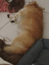 憨憨乐园狗窝冬季保暖宠物猫窝垫子狗狗睡垫小中型犬泰迪金毛冬天狗床用品 实拍图