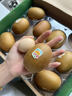 佳沛（zespri）新西兰  阳光金奇异果10粒礼盒巨大果单果约144-175g 水果 猕猴桃 实拍图