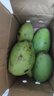 【双十一热卖】玉芒水果芒果新鲜上市 带箱4斤【单果200g】 实拍图