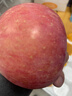 甜醉了 烟台苹果栖霞红富士新鲜水果生鲜山东特产脆甜整箱平果礼盒礼品 净重4.5斤80-85mm 实拍图