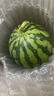 京鲜生 无籽麒麟瓜西瓜 1粒装 单果5-6斤 生鲜水果源头直发包邮 实拍图