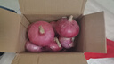 山东特产水果扁洋葱甜瓜口感红皮扁葱头生吃脆甜蘸酱好吃粉嫩 紫皮洋葱大果带箱 3斤 精选 实拍图