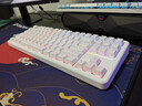 前行者【立省15%】X87Pro/Ultra无线机械键盘有线蓝牙三模gas客制化游戏电竞磁轴办公专用侧刻电脑笔记本 X87S等高线金蛇轴-双8K回报率1.2万毫安 实拍图