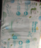 帮宝适超薄透气清新帮透氧Pro婴儿纸尿裤尿不湿尿片尿布L46 实拍图