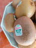 佳沛（zespri）新西兰 阳光金奇异果12粒礼盒特大果单果约122-146g 猕猴桃 水果 实拍图