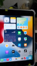 Apple 苹果 iPad Mini 2/3/4/5/6/7代 2022/2021款 二手平板电脑 iPad mini4 实拍图
