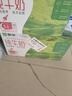 蒙牛【新鲜日期】全脂纯牛奶250ml*24盒 送礼盒装 电商定制 实拍图