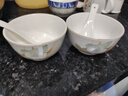 高颜值家用银杏时光米饭碗大面碗陶瓷餐具家用新骨瓷陶瓷碗 银杏时光 4.5英寸2碗2白勺 实拍图