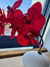 爱已装糖10头蝴蝶兰红白色见闻艺术陶瓷花瓶轻奢套装客厅装饰仿真花假花 实拍图