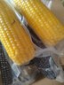 京鲜生东北糯玉米3黄3白3黑220g*9棒 真空包装新鲜甜糯玉米棒 源头直发 实拍图