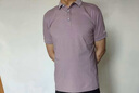 莱北  男士短袖T恤夏季纯棉翻领polo打底衫夏装纯色休闲时尚夏天年轻人有领带领微领上衣男装反领衣服 卡213浅紫色 XL/175【120-140斤穿】 实拍图