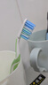 高露洁（Colgate）纤柔备长炭软毛牙刷 5支 超细软毛 深层洁齿 京东自营 实拍图