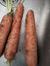 京喜加新鲜现挖现发胡萝卜农家自种蔬菜水果沙地红萝卜 带泥胡萝卜2斤 含箱 实拍图