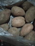 【真便宜】红皮土豆高原黄心土豆马铃薯红皮黄心洋芋 蔬菜水果 5斤大果【单果150g+】 实拍图