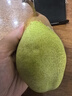 京地达东北茄梨 放软吃酸甜净重4.5斤单果150g+大头梨啤梨源头直发包邮 实拍图
