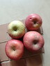 玖原农珍 甘肃静宁富士大漠冰糖心苹果源头直发采摘新鲜礼品水果含箱 9.5斤净果8.5斤优选果70-80mm 实拍图
