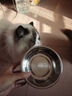 HELLOJOY不锈钢宠物食盆狗碗猫狗碗食盆水粮两用宠物碗喂食器 白色 实拍图