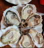 鲜京采 鲜活生蚝5XL 净重5斤 9-12只 鲜活到家 生鲜海鲜 源头直发 实拍图