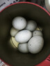 皮蛋松花蛋无铅工艺古法腌制鸭蛋佐餐伴侣 10枚（单枚50g以上） 实拍图
